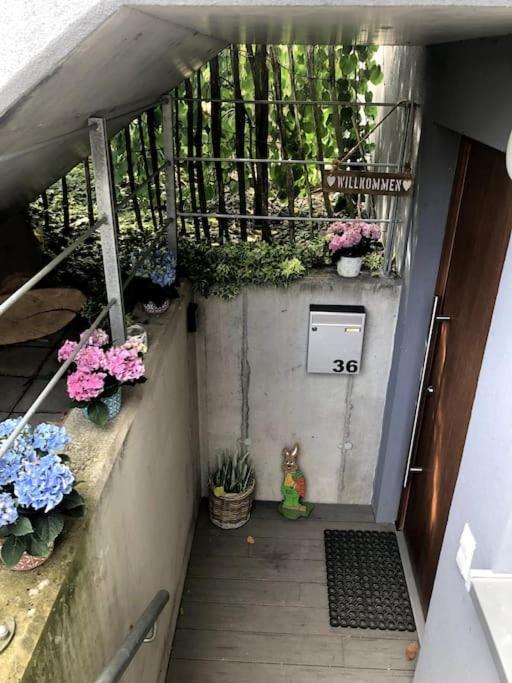 Wohnung In Gehobener Lage 브루흐잘 외부 사진